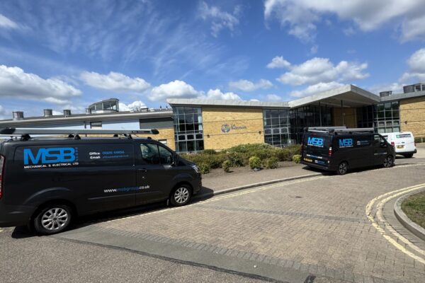 Picture 1 - Behind Bexley writing