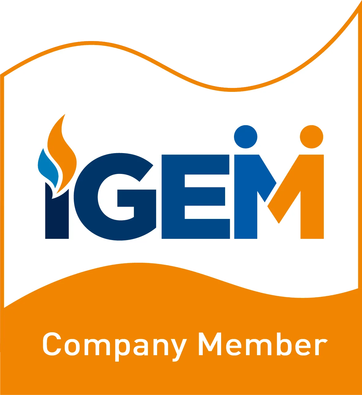 IGEM Member
